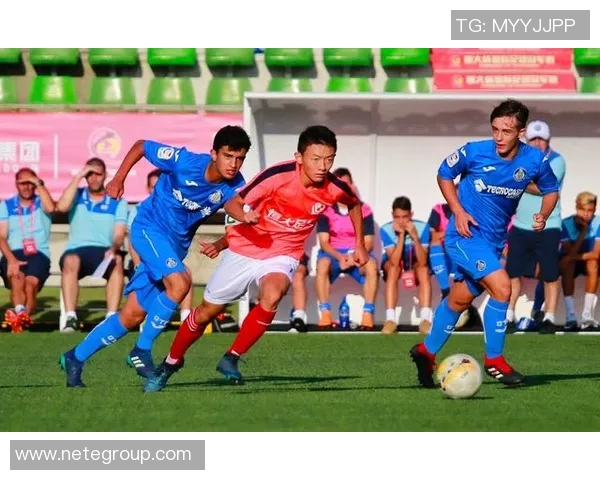 深圳排球队比赛经验分析与提升策略探讨