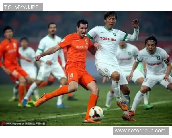 杭州排球队状态分析:聚焦球队表现与未来发展方向